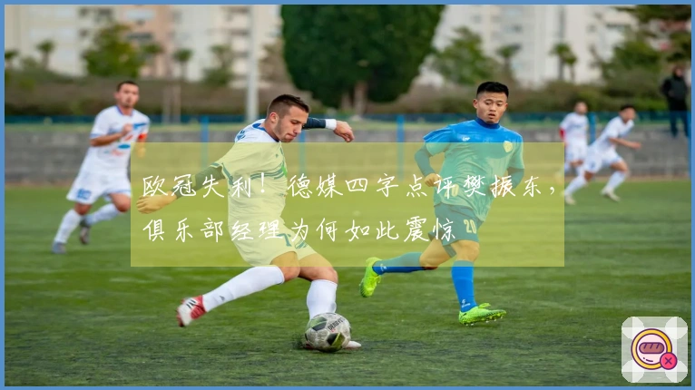 欧冠失利！德媒四字点评樊振东，俱乐部经理为何如此震惊
